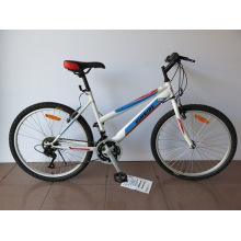 24 &quot;Stahlrahmen Mountainbike (CZ2404)